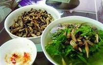 Ngọt ngào hương vị nấm mối