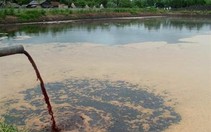 Lấy nước thải tưới cho... cây mía