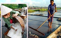 Một ngày trên đồng muối