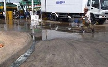 Khu cảng cá Tắc Cậu (Kiên Giang): Môi trường bị ô nhiễm nghiêm trọng