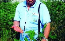GS.TS Võ Tòng Xuân: "Sứ giả" cây lúa