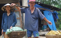 Nước mắt chảy xuôi - Kỳ 5: Gánh rau nuôi đàn con