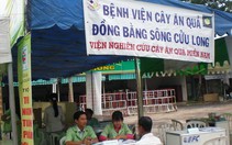 ĐBSCL: hơn 1.000 nhà vườn "khám" tại bệnh viện cây ăn quả