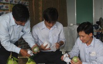 Vú sữa đạt tiêu chuẩn Global GAP đã vào Metro