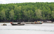 Đánh thức tour đường sông
