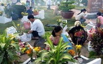 Nhớ tảo mộ xưa