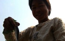 "Rái cá nhí" trên dòng Đắckrông
