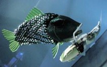 Thả cá robot để dò tìm ô nhiễm