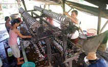 Đứt ruột đào gốc dâu, bỏ nghề nuôi tằm