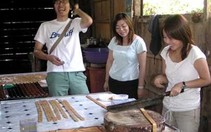 Bến Tre mời gọi đầu tư du lịch