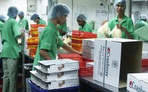 Xuất khẩu lao động ở Malaysia: Khéo co thì ấm