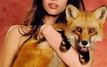 Megan Fox "tiến lên" căng Robot đại chiến