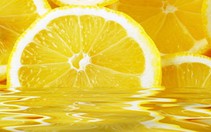 Giữ hương vị nước ép trái cây
