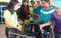 Khai trương khu thương mại phi thuế quan Tịnh Biên