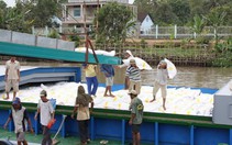 Xây dựng thương hiệu gạo Việt