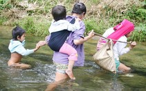 Đi tìm con chữ giữa đại ngàn