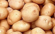 Lập bản đồ gen khoai tây