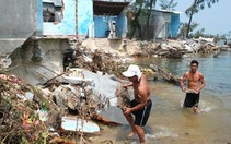 Rừng dương mất, bão dữ hơn