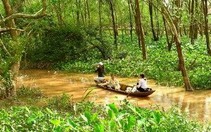 Du lịch sinh thái kết hợp với dịch vụ nông thôn
