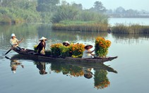 Phiên chợ sớm