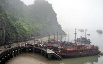 Các công ty du lịch bắt đầu giảm giá tour nội địa