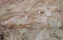 Lại thấp thỏm vì bom chưa nổ