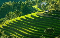 Tám tỉnh miền núi phía bắc liên kết phát triển du lịch