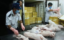 TP.HCM: chủ động tìm nguồn thịt sạch