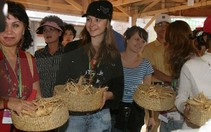 1 triệu du khách dự Lễ hội nhân sâm Hàn Quốc