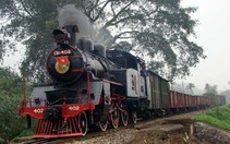 Về đền Đô trên những con tàu cổ