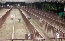 Những điều thú vị ở Mỹ Khánh