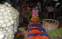 Nhập cả bắp cải, hành lá...