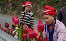Hoa chuối đón tết
