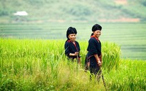 Nụ cười Yên Bái