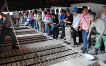 Về nguồn với Côn Đảo