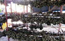 Bánh ú tro Hội An