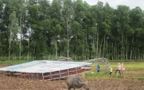 Biển quảng cáo "khổng lồ" không chỉ nguy hiểm ở đô thị