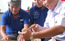 Tuổi trẻ TP.HCM với các hoạt động "Uống nước nhớ nguồn"