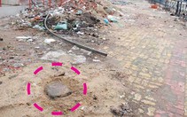 Chặt trộm cây xanh?