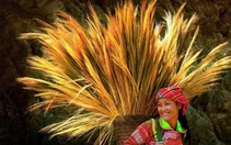 Hội Nhiếp ảnh TP.HCM kỷ niệm 30 năm thành lập