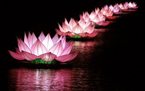 Sông Hương huyền ảo sen hồng hoa đăng