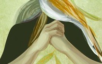 Chim sẻ ngày mưa...