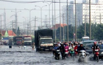 TP.HCM: Triều cường ngập quốc lộ, trường học