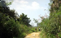 Trekking Tam Đảo mùa thu