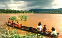Chiếu phim tài liệu Mê Kông tại Hà Nội
