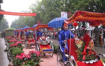 Hội hoa xuân 2013 tôn vinh nét đẹp văn hóa làng quê