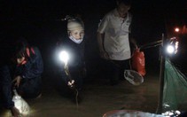 Nửa đêm trên đồng rươi