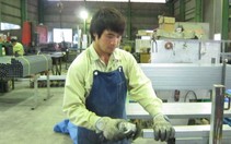 Học khối ngành kinh tế, có thể đi tu nghiệp tại Nhật?