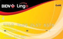 BIDV và VMG hợp tác phát hành thẻ đồng thương hiệu BIDV- Lingo