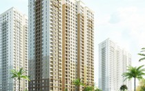 Vingroup đầu tư thêm lĩnh vực giáo dục